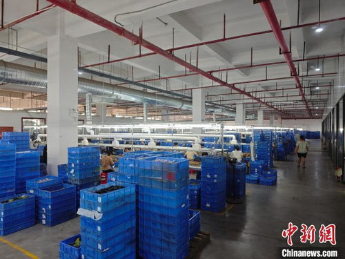 港資企業(yè)在贛扎根，與江西發(fā)展同頻共振，一路繁花技術(shù)開發(fā)
